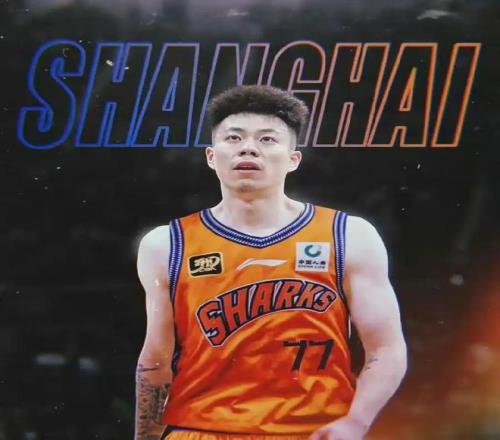 质押股权，卖主力，功勋老将心灰意冷退役，四冠辽宁男篮高峰陨落