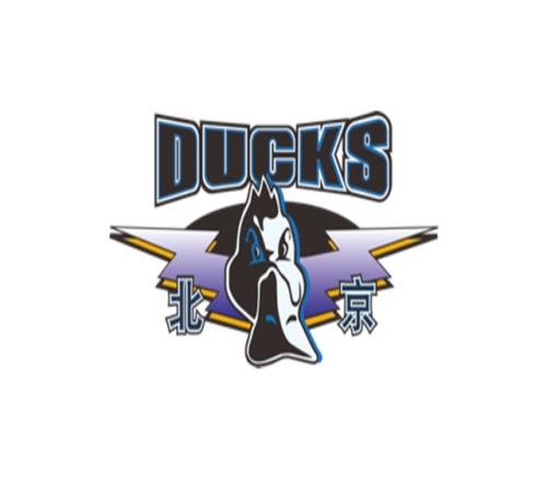 北京男篮安排了相关人员观看NBA夏联对心仪的外援进行了考察