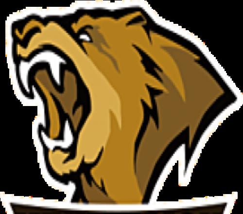 LVG被ESL官方禁止参与下一届ESL赛事：因签证问题迟迟未得到解决