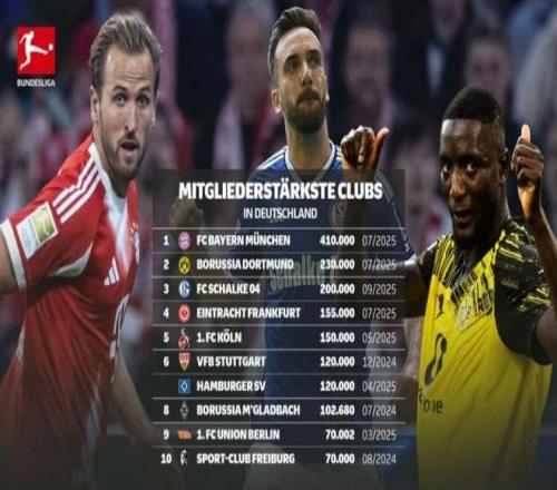 德国俱乐部注册会员数量榜：拜仁41万居首，多特、沙尔克二三位