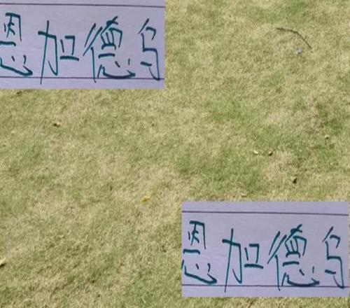 北京国安后防猛将恩加再次入选国家队间歇期中超前4都有球员离队