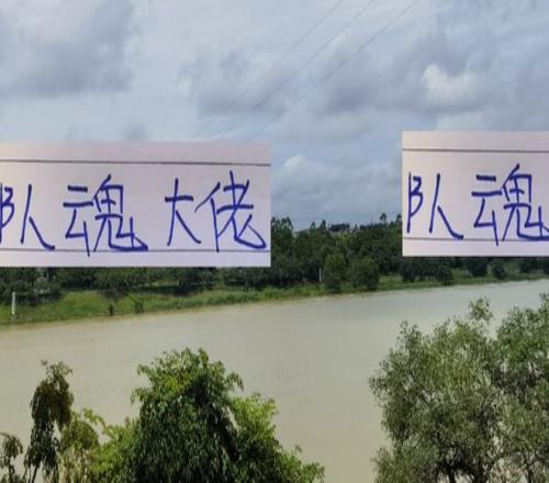 队魂大佬！中超三大球队里海港是莱昂成都是周定洋申花是吴曦