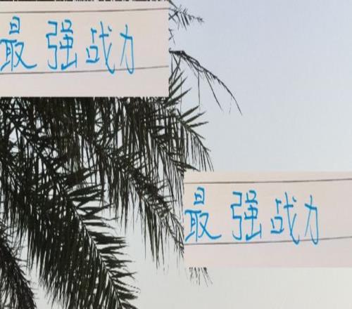 最强战力都在包厢情况下！申花进攻和防守都排第二前俄教练厉害