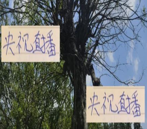 中超第25轮申花跟海港焦点大战央视都会直播球迷放心吧