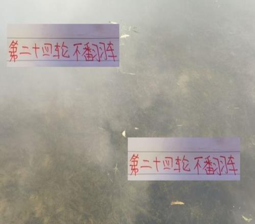 第24轮中超前4前瞻海港+成都是最不可能翻车