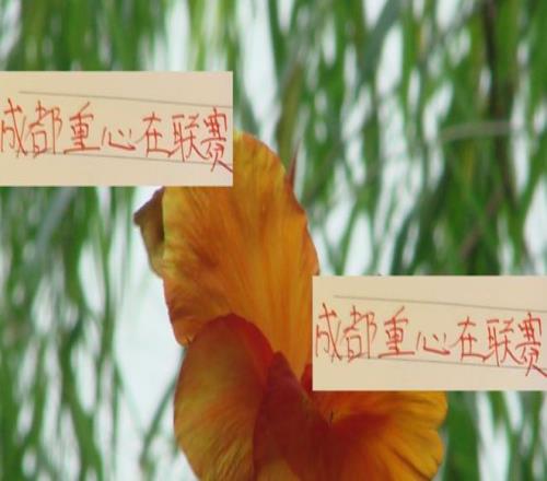 对亚冠！成都蓉城已经表明态度就不知道申花+海港的想法了！