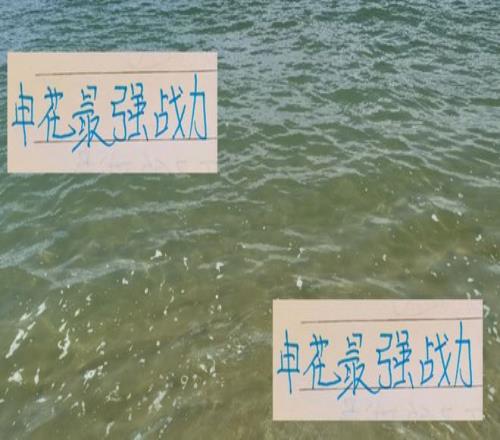 没想到！申花的最强战力都在包厢！