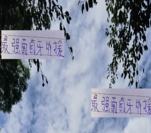 还剩6比赛！中超最强葡萄牙外援不在申花北京国安而在天津队