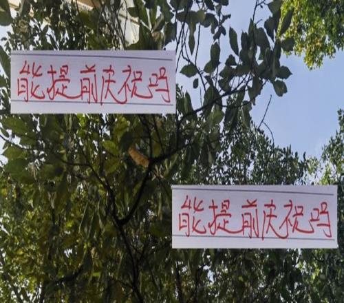 海港能提起开香槟吗除非最后一轮领先4分