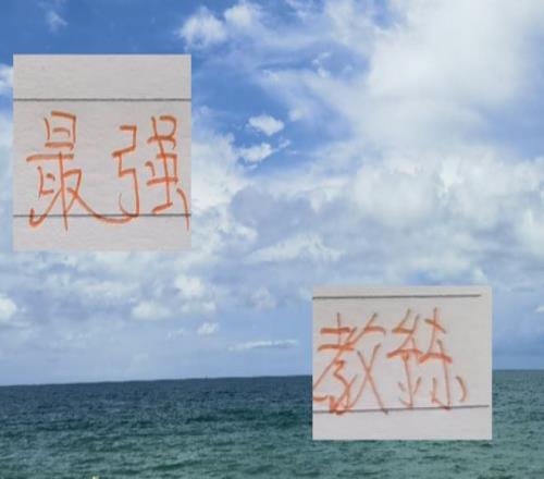 中超最强救火教练！河南葡萄牙洋帅先后拿下申花成都北京国安