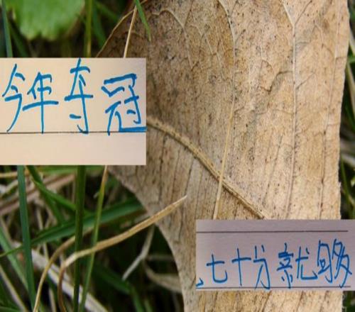 心痛去年申花一下！今年中超冠军大概70分左右就可以！甚至更低