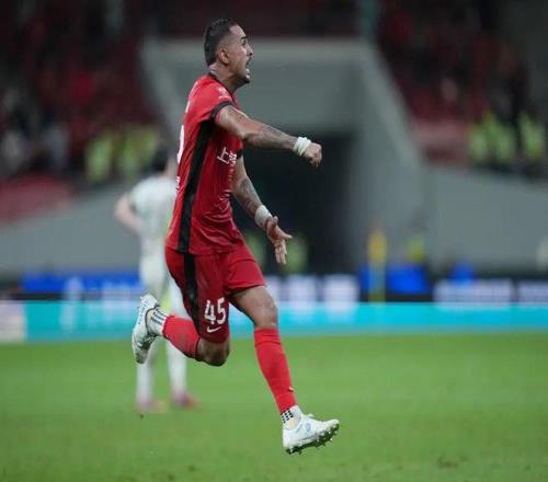 海港的“假货”原来是真金！