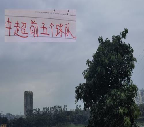 中超前5名各球队射手大佬！申花的米内罗的含金量还在提升！