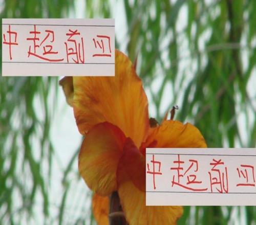 中超前4的领袖！本赛季海港已经不是武磊申花还是吴曦