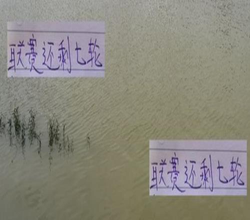 海港遇强不够猛联赛还剩7轮后面还有北京国安跟山东泰山