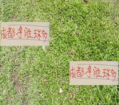 中超前4！成都蓉城进球最少但净胜球瑶瑶领先申花海港北京国安