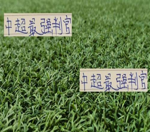 最强判官天津让海港成都北京国安都丢分最后一轮能干申花吗