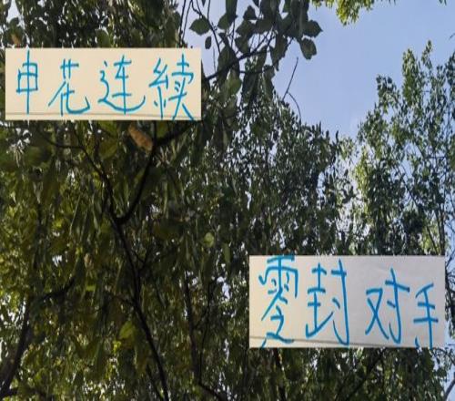 申花这两轮能零封对手防住浙江米神青岛姆巴佩多亏马纳法