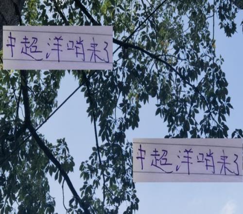 周末两场天王山比赛成都VS海港山东VS北京国安洋哨执法稳了！