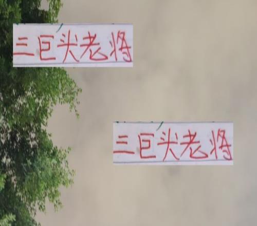 三巨头34岁+老将渐入佳境海港北京国安申花谁的姜更加辣呢