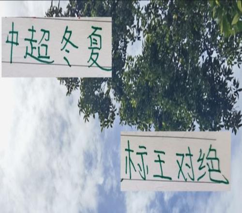 中超夏冬季标王对决！你看好北京国安达万还是浙江罗马尼亚国脚