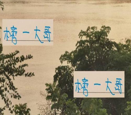 恭喜申花！提前4轮夺得榜首次数冠军他们才是“榜一大哥”