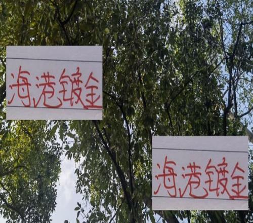 中超BIG4谁最强不是海港穆斯卡特而是成都蓉城徐正源