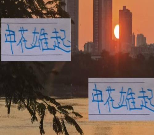 申花雄起！申花苏神亚冠破门得分顺便把对方后卫都给带倒！