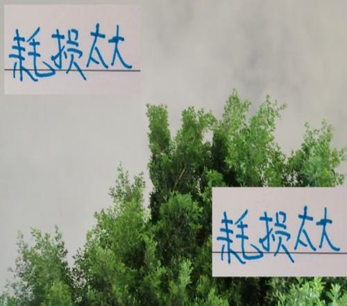 亚冠对马纳法+特谢拉耗损太大了！申花双子神不灵球队也不灵