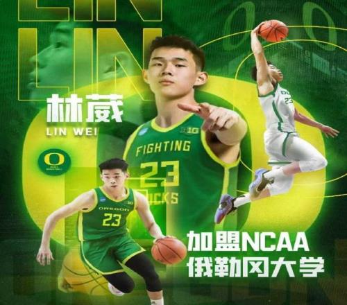 林葳：我们和NBA球员差距不大，但这点差距需要很多努力弥补