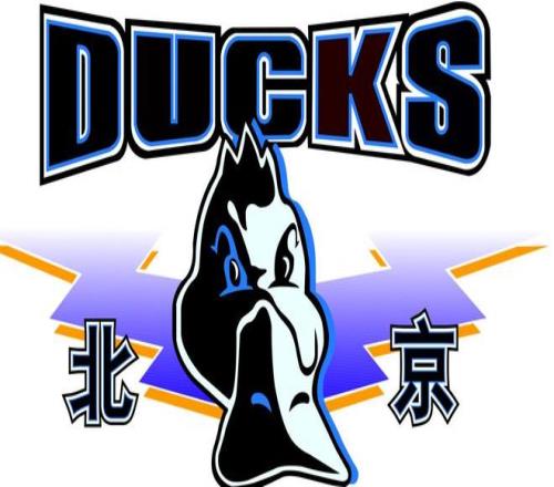 许利民：曾凡博是否回来决定第三名外援，新赛季目标是总冠军