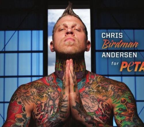 【旧将录】从谷底飞向巅峰的鸟人！