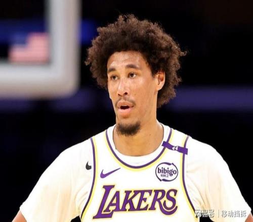 10分13板3帽，14分8板5助！艾顿微微发力，就已经是海斯的上限了