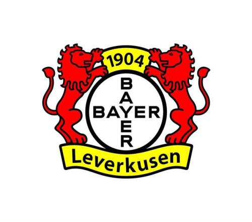 勒沃库森欧冠名单：巴斯克斯、埃切韦里等13位新援入选