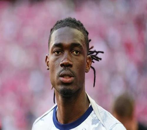 英媒：热刺再添新伤员，比苏马代表马里出战时再遭重伤