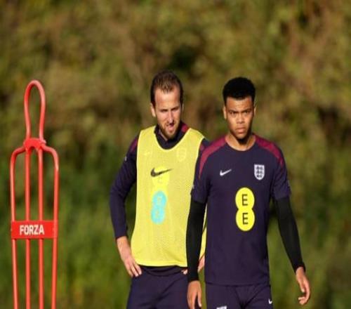 英格兰队官方：补召21岁热刺前锋斯卡利特加入集训营