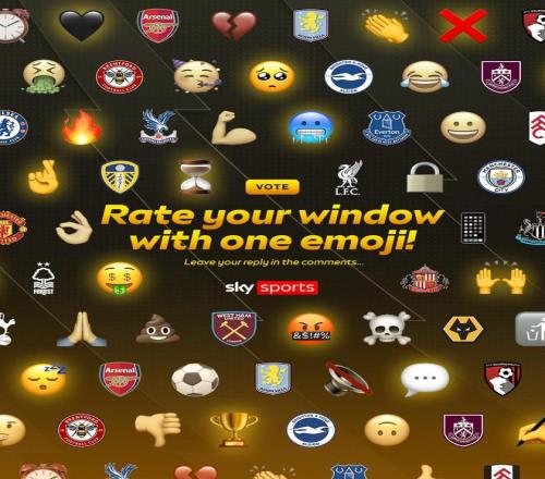 用一个表情来评价你的主队夏窗表现，各位老哥会用哪一个