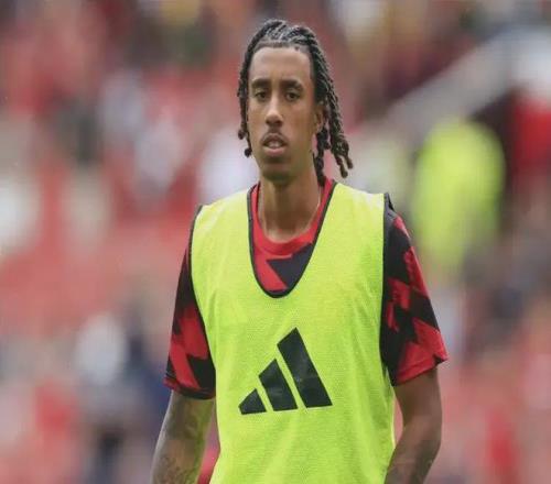 费迪南德：看不出约罗的上限，他具备成为顶级中卫的所有特质