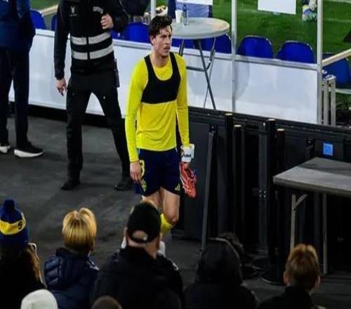 林德洛夫谈瑞典队被嘘：球迷们想嘘就嘘吧，但这样会更好吗