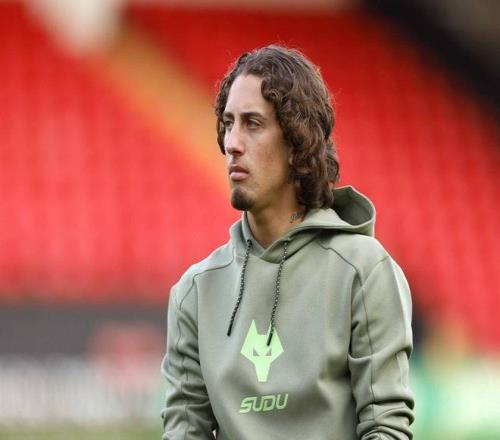 DO：多特蒙德接近与狼队就法比奥席尔瓦达成协议