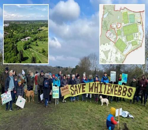 太阳报：热刺想把部分古老林地改造成体育设施，遭到居民抗议