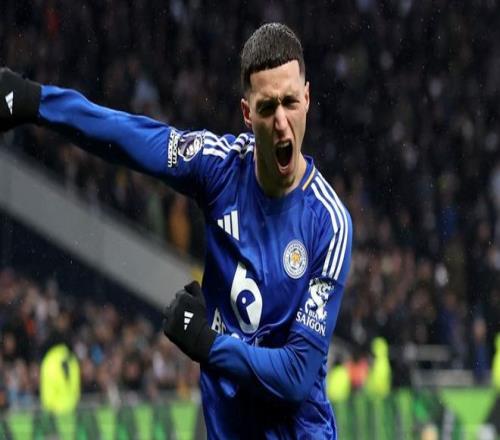 记者：水晶宫接近3000万镑签下哈努斯，但也在权衡是否换目标