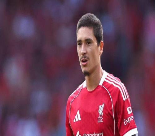 努涅斯完成沙特转会！利物浦手握巨款，剑指纽卡斯尔王牌