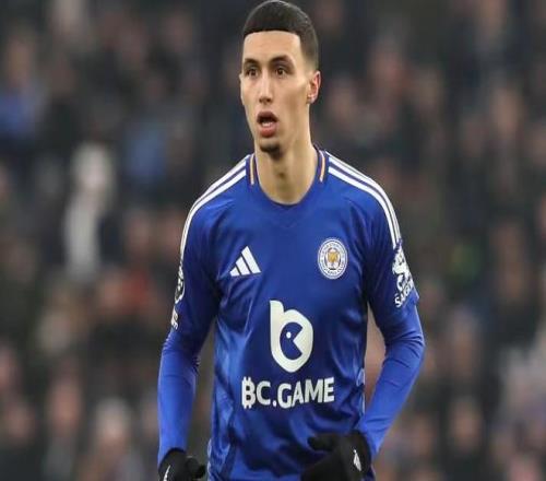 英媒：热刺加入哈努斯的争夺，球员计划本周初决定未来