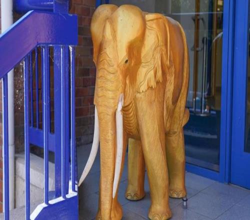 泰晤士报：谢周三计划拍卖球场的标志性金象以筹集资金