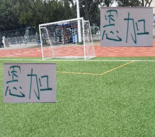 进球是恩加！丢球也是喀麦隆国脚！