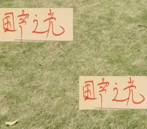 国产之光！亚洲赛事4球队只有上海申花获胜！能奖励鸡腿吗