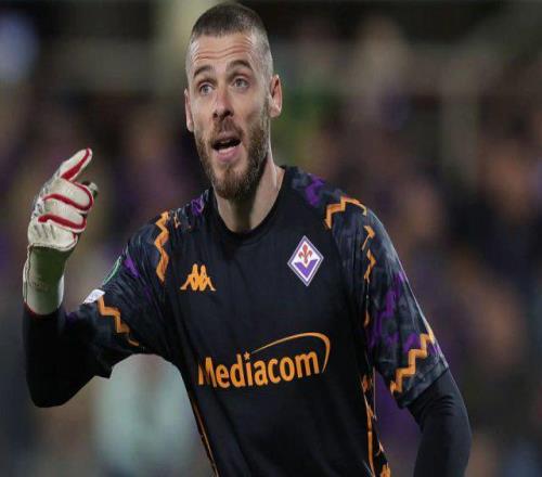 德赫亚：赋闲的一年很美好