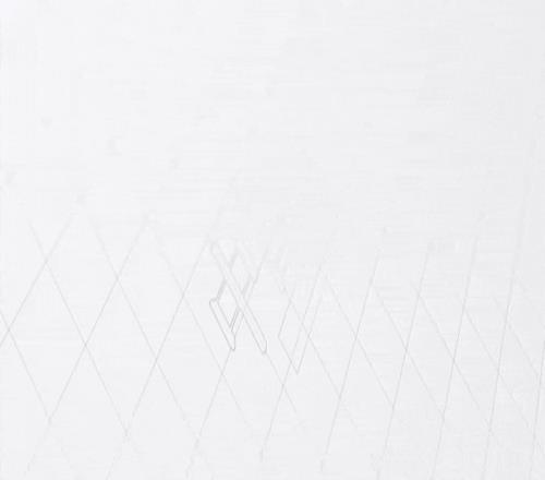 祝贺！“莎头组合”夺冠