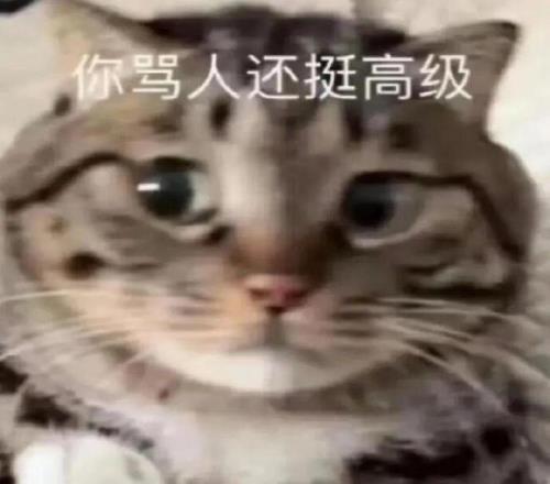 第一次去中网指南：花100多块就能买到的中产快乐